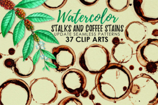 Watercolor Coffee Stains and Stalks